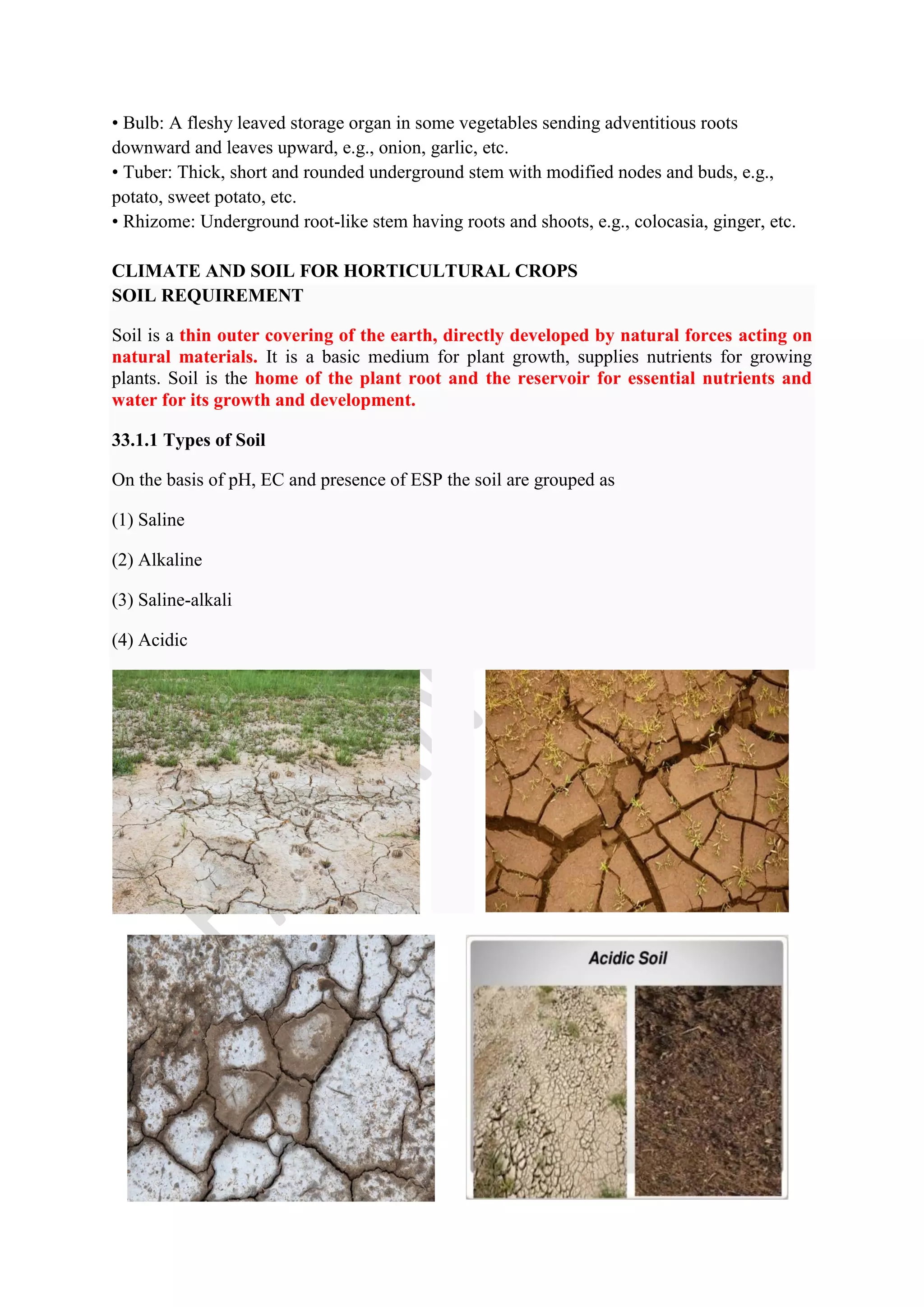 • Bulb: A fleshy leaved storage organ in some vegetables sending adventitious roots
downward and leaves upward, e.g., onion, garlic, etc.
• Tuber: Thick, short and rounded underground stem with modified nodes and buds, e.g.,
potato, sweet potato, etc.
• Rhizome: Underground root-like stem having roots and shoots, e.g., colocasia, ginger, etc.
CLIMATE AND SOIL FOR HORTICULTURAL CROPS
SOIL REQUIREMENT
Soil is a thin outer covering of the earth, directly developed by natural forces acting on
natural materials. It is a basic medium for plant growth, supplies nutrients for growing
plants. Soil is the home of the plant root and the reservoir for essential nutrients and
water for its growth and development.
33.1.1 Types of Soil
On the basis of pH, EC and presence of ESP the soil are grouped as
(1) Saline
(2) Alkaline
(3) Saline-alkali
(4) Acidic
 