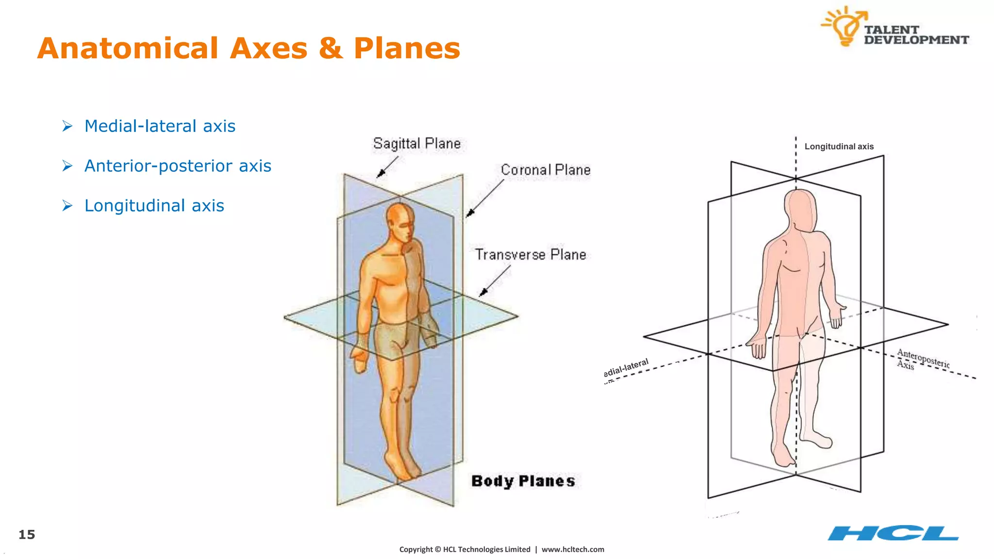 Body Axises Fundamentals of Human Anatomy & Physiology.pptx | Death, Injury, or ...