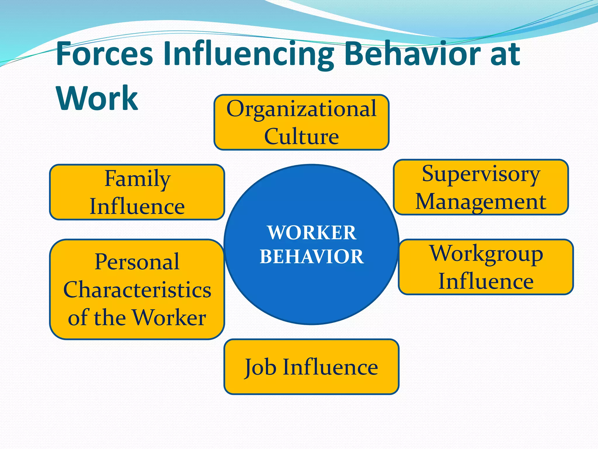 Forces Influencing Behavior at
Work
WORKER
BEHAVIOR
Organizational
Culture
Supervisory
Management
Workgroup
Influence
Job Influence
Personal
Characteristics
of the Worker
Family
Influence
 