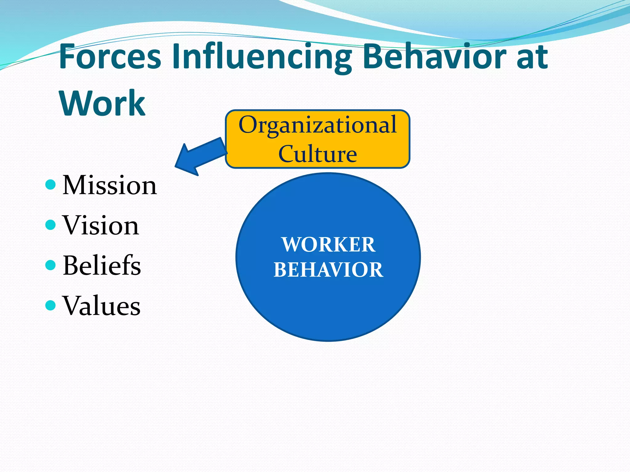 Forces Influencing Behavior at
Work
WORKER
BEHAVIOR
Organizational
Culture
 Mission
 Vision
 Beliefs
 Values
 