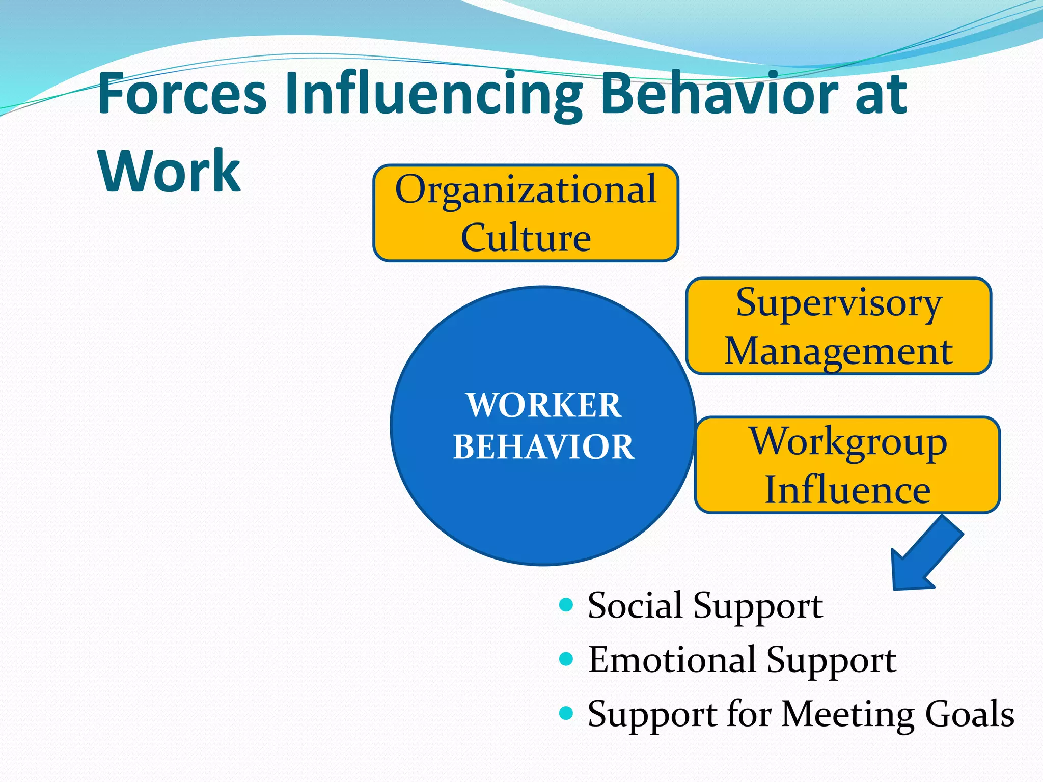 Forces Influencing Behavior at
Work
WORKER
BEHAVIOR
Organizational
Culture
Supervisory
Management
Workgroup
Influence
 Social Support
 Emotional Support
 Support for Meeting Goals
 