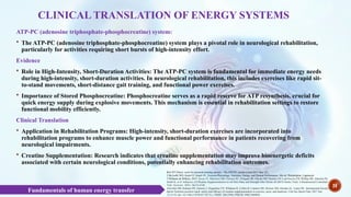 Fundamentals of human energy transfer .pptx
