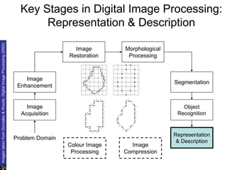 Key Stages in Digital Image Processing:
Representation & Description
Image
Acquisition
Image
Restoration
Morphological
Processing
Segmentation
Representation
& Description
Image
Enhancement
Object
Recognition
Problem Domain
Colour Image
Processing
Image
Compression
Images
taken
from
Gonzalez
&
Woods,
Digital
Image
Processing
(2002)
 