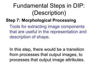 Fundamental Steps in DIP:
(Description)
Step 7: Morphological Processing
Tools for extracting image components
that are useful in the representation and
description of shape.
In this step, there would be a transition
from processes that output images, to
processes that output image attributes.
 