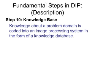 Fundamental Steps in DIP:
(Description)
Step 10: Knowledge Base
Knowledge about a problem domain is
coded into an image processing system in
the form of a knowledge database.
 