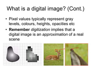 What is a digital image? (Cont.)
• Pixel values typically represent gray
levels, colours, heights, opacities etc
• Remember digitization implies that a
digital image is an approximation of a real
scene
1 pixel
 
