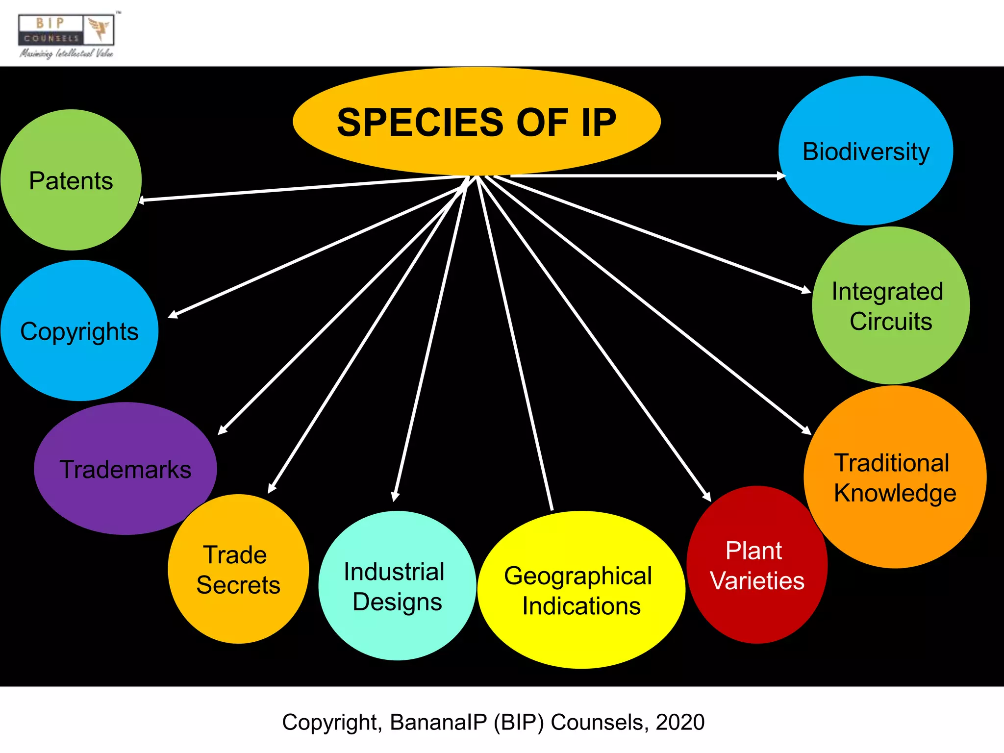 Patents
Copyrights
Trademarks
Trade
Secrets
Industrial
Designs
Geographical
Indications
Plant
Varieties
Traditional
Knowledge
Integrated
Circuits
Biodiversity
SPECIES OF IP
Copyright, BananaIP (BIP) Counsels, 2020
 