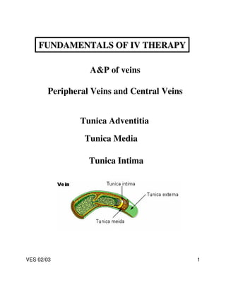 FUNDAMENTALS OF IV THERAPY

                 A&P of veins

       Peripheral Veins and Central Veins


               Tunica Adventitia

                Tunica Media

                 Tunica Intima




VES 02/03                                   1
 