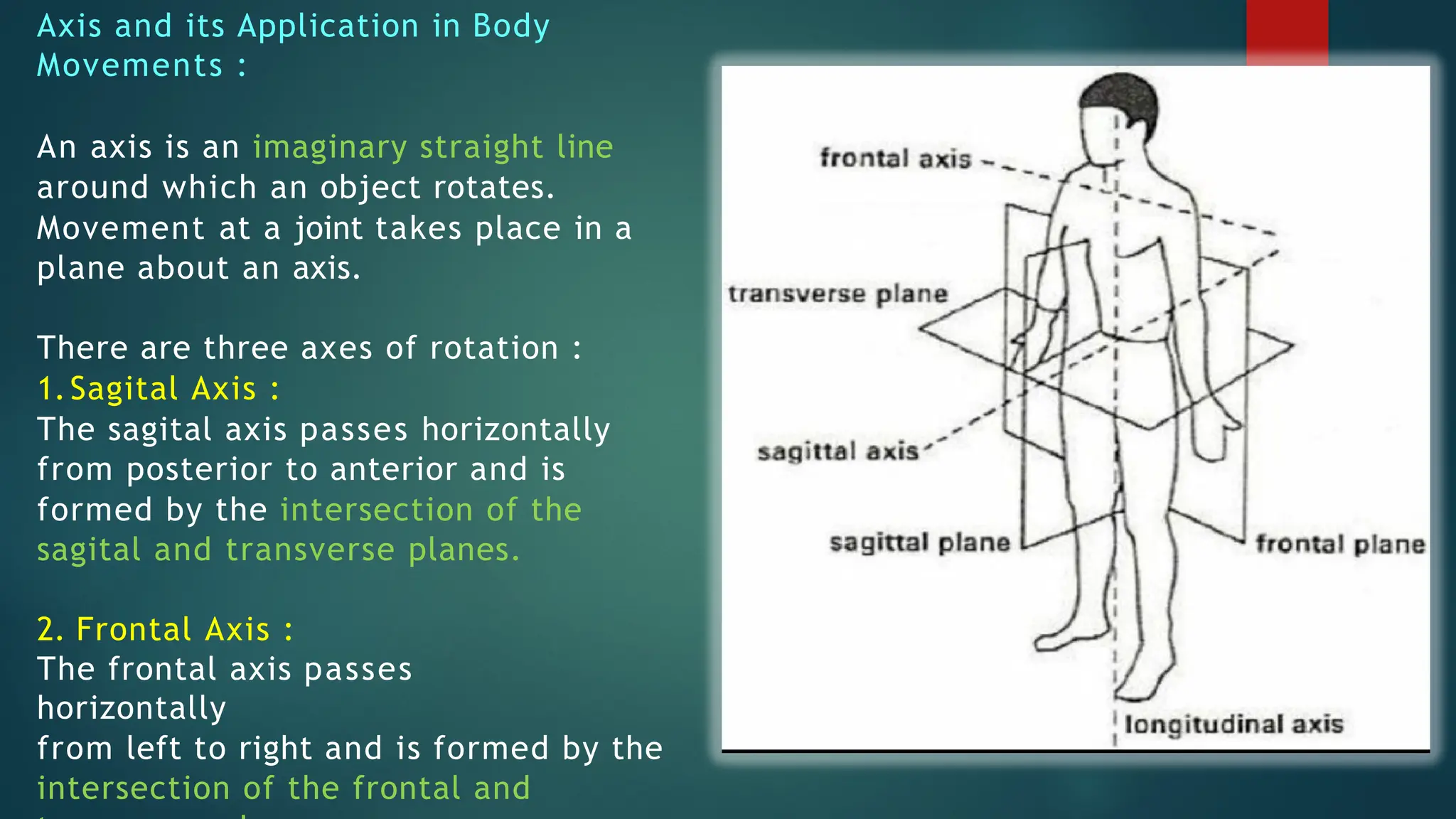 fundamentals of kinesiology and biomechanics in sports 2.0.pptx