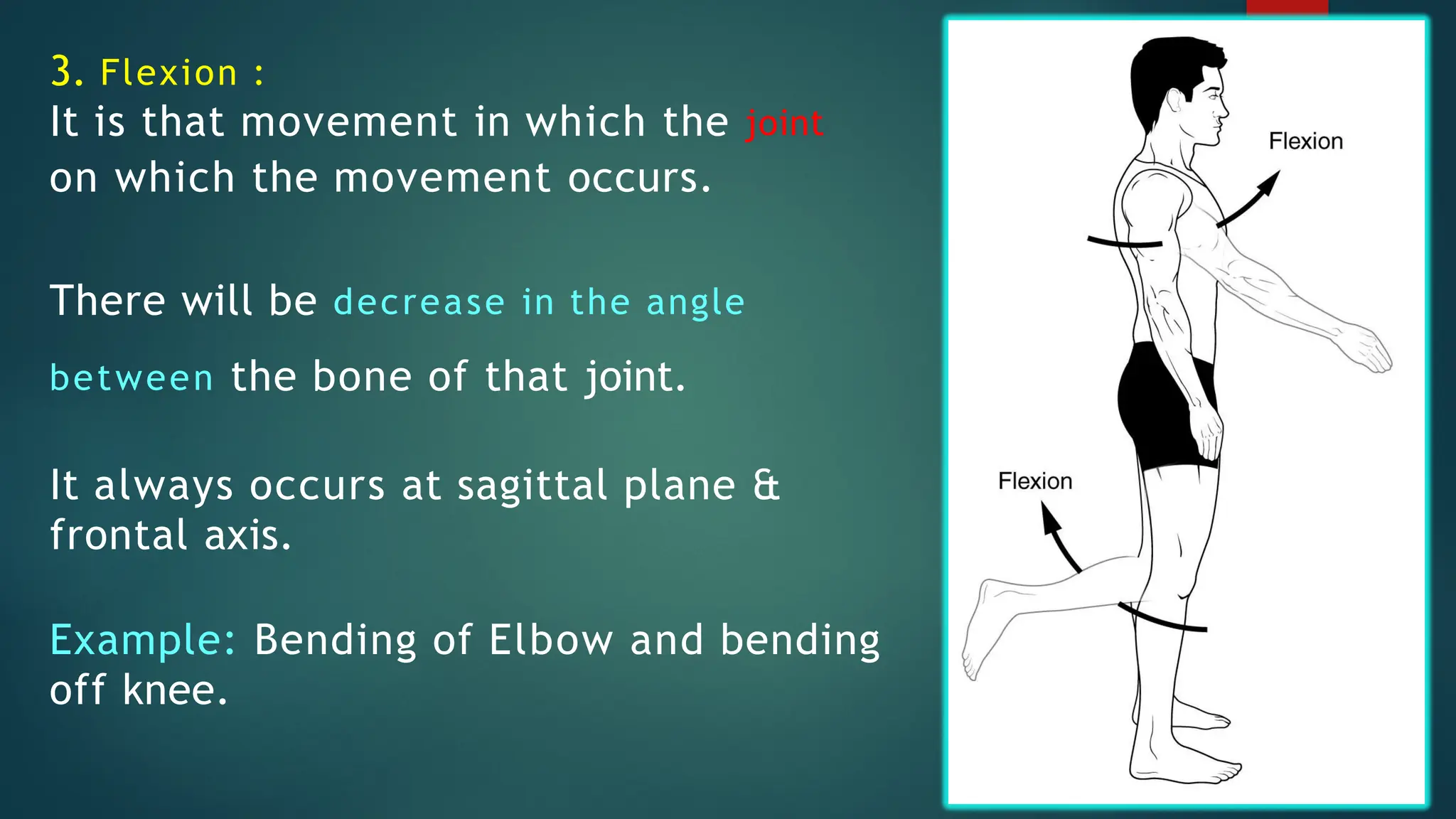 fundamentals of kinesiology and biomechanics in sports 2.0.pptx ...