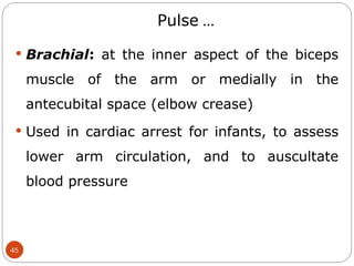 Fundamentals_of_Nursing ppt in midwifery | PPT
