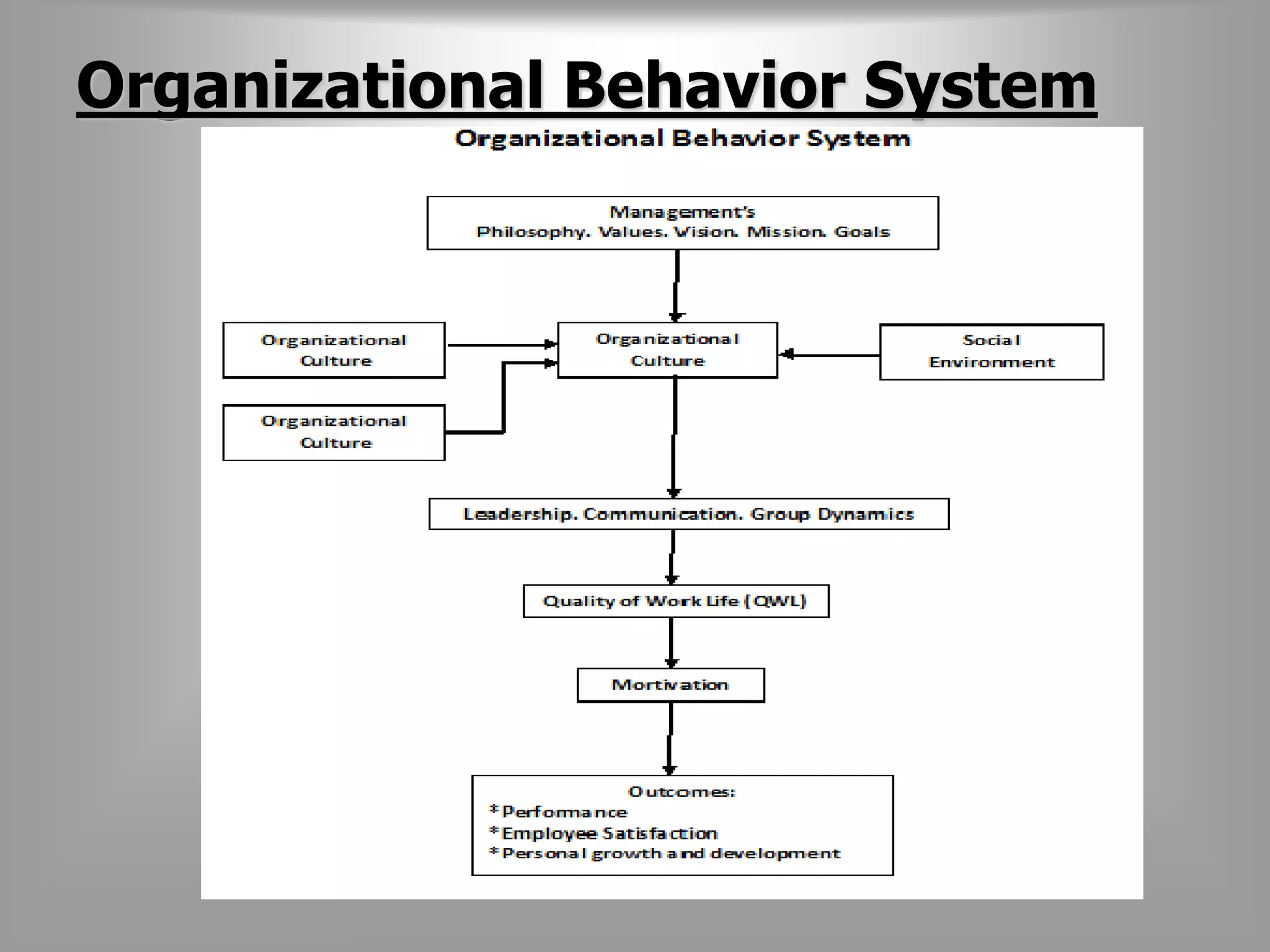 Organizational Behavior System 
 