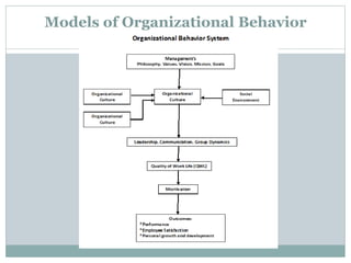 Models of Organizational Behavior
 