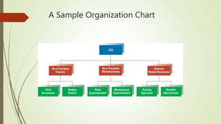 Organization Introduction Fundamentals of organizational structure ppt | PPTX
