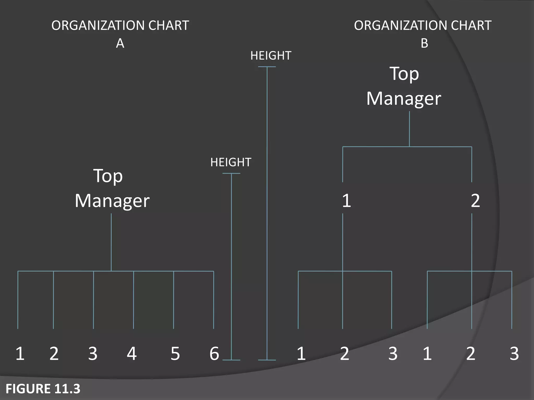 Top
Manager 1 2
1 2 3 4 5 6 1 2 3 1 2 3
Top
Manager
HEIGHT
HEIGHT
ORGANIZATION CHART
A
ORGANIZATION CHART
B
FIGURE 11.3
 