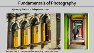 Types of lenses > Telephoto lens
Perspective is compressed when using telephoto lens
 