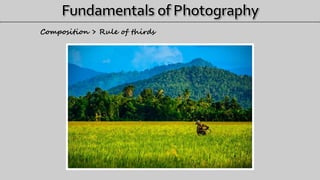Composition > Rule of thirds
 