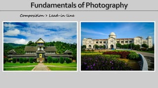 Composition > Lead-in line
 