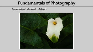 Composition > Contrast > Colours
 