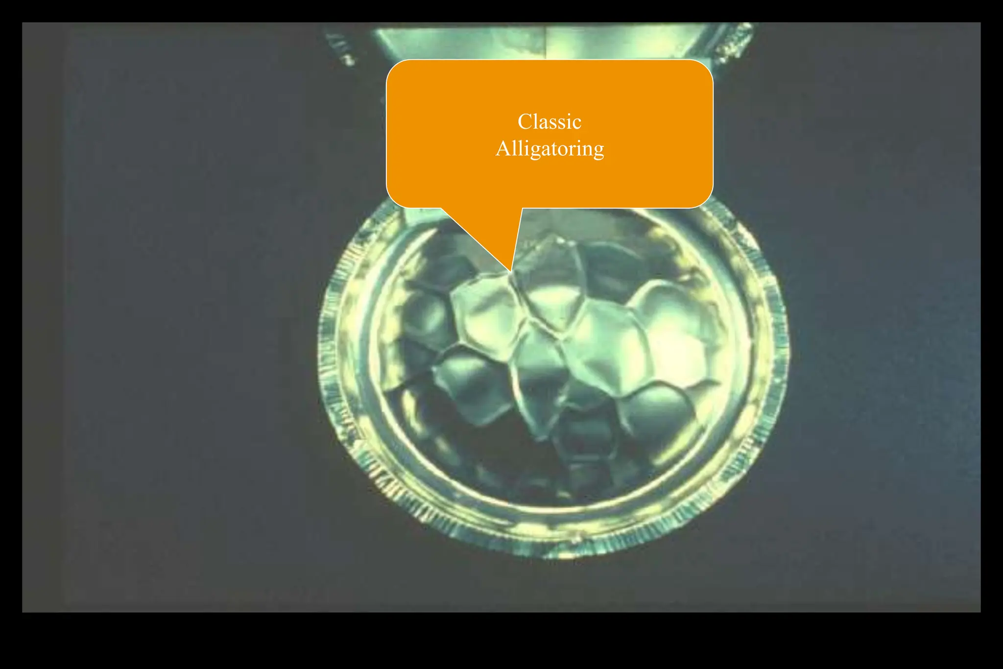 Classic
Alligatoring
 