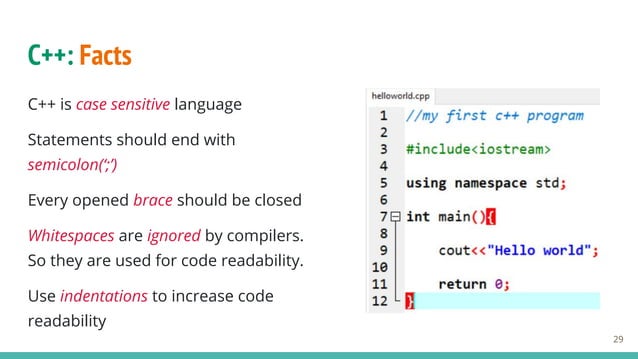 Fundamentals of programming with C++ | PDF