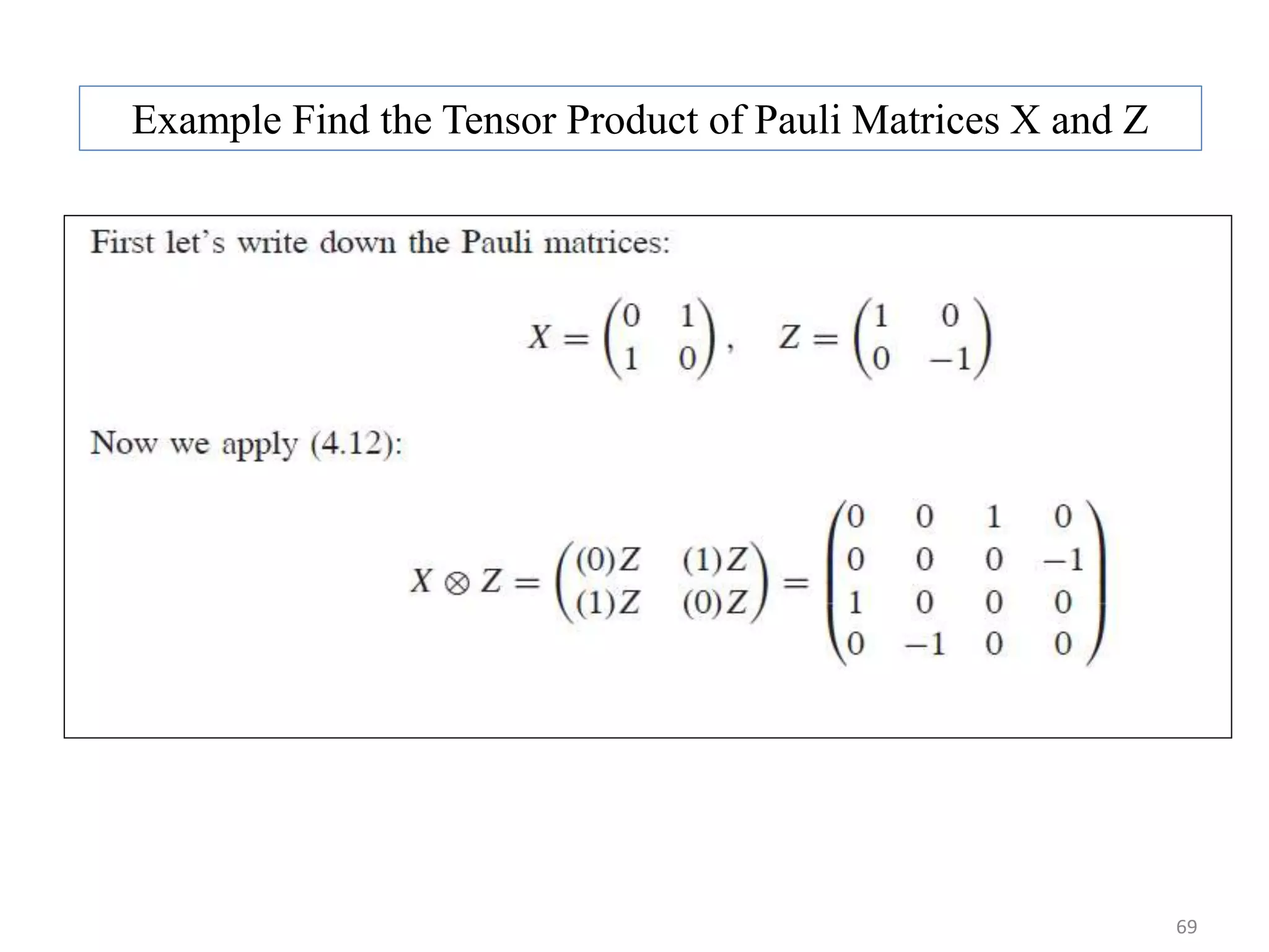 69 Example Find the Tensor Product of Pauli Matrices X and Z 