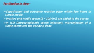 Fertilization in vitro:-
Capacitation and acrosome reaction occur within few hours in
simple media.
Washed and motile sperm (2 × 105/mL) are added to the oocyte.
In ICSI (Intracytoplasmic sperm injection), microinjection of a
single sperm into the oocyte is done.
 