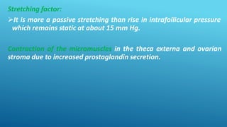Stretching factor:
It is more a passive stretching than rise in intrafollicular pressure
which remains static at about 15 mm Hg.
Contraction of the micromuscles in the theca externa and ovarian
stroma due to increased prostaglandin secretion.
 