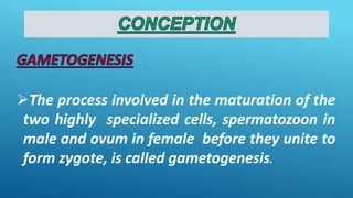 The process involved in the maturation of the
two highly specialized cells, spermatozoon in
male and ovum in female before they unite to
form zygote, is called gametogenesis.
 