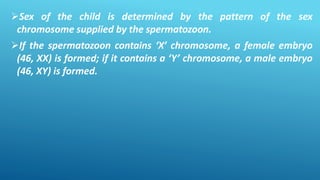 Sex of the child is determined by the pattern of the sex
chromosome supplied by the spermatozoon.
If the spermatozoon contains ‘X’ chromosome, a female embryo
(46, XX) is formed; if it contains a ‘Y’ chromosome, a male embryo
(46, XY) is formed.
 