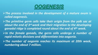 The process involved in the development of a mature ovum is
called oogenesis.
The primitive germ cells take their origin from the yolk sac at
about the end of 3rd week and their migration to the developing
gonadal ridge is completed round about the end of 4th week.
In the female gonads, the germ cells undergo a number of
rapid mitotic divisions and differentiate into oogonia.
The number of oogonia reaches its maximum at 20th week,
numbering about 7 million.
 