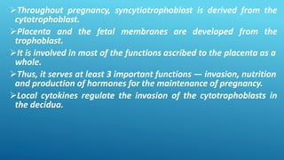 Throughout pregnancy, syncytiotrophoblast is derived from the
cytotrophoblast.
Placenta and the fetal membranes are developed from the
trophoblast.
It is involved in most of the functions ascribed to the placenta as a
whole.
Thus, it serves at least 3 important functions — invasion, nutrition
and production of hormones for the maintenance of pregnancy.
Local cytokines regulate the invasion of the cytotrophoblasts in
the decidua.
 