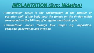 Implantation occurs in the endometrium of the anterior or
posterior wall of the body near the fundus on the 6th day which
corresponds to the 20th day of a regular menstrual cycle.
Implantation occurs through four stages e.g. apposition,
adhesion, penetration and invasion.
 