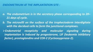 ENDOMETRIUM AT THE IMPLANTATION SITE :
a. The endometrium is in the secretory phase corresponding to 20–
21 days of cycle.
b. The microvilli on the surface of the trophectoderm interdigitate
with the decidual cells to form the junctional complexes.
Endometrial receptivity and molecular signaling during
implantation is induced by progesterone, LIF (leukemia inhibitory
factor), prostaglandins and COX-2 (Cyclooxygenase-2).
 