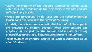 While the majority of the oogonia continue to divide, some
enter into the prophase of the first meiotic division and are
called primary oocytes.
These are surrounded by flat cells and are called primordial
follicles and are present in the cortex of the ovary.
At birth, there is no more mitotic division and all the oogonia
are replaced by primary oocytes which have finished the
prophase of the first meiotic division and remain in resting
phase (dictyotene stage) between prophase and metaphase.
Total number of primary oocytes at birth is estimated to be
about 2 million.
 