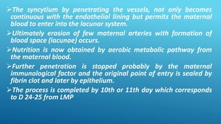 The syncytium by penetrating the vessels, not only becomes
continuous with the endothelial lining but permits the maternal
blood to enter into the lacunar system.
Ultimately erosion of few maternal arteries with formation of
blood space (lacunae) occurs.
Nutrition is now obtained by aerobic metabolic pathway from
the maternal blood.
Further penetration is stopped probably by the maternal
immunological factor and the original point of entry is sealed by
fibrin clot and later by epithelium.
The process is completed by 10th or 11th day which corresponds
to D 24-25 from LMP
 
