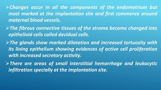 Changes occur in all the components of the endometrium but
most marked at the implantation site and first commence around
maternal blood vessels.
The fibrous connective tissues of the stroma become changed into
epithelioid cells called decidual cells.
The glands show marked dilatation and increased tortuosity with
its lining epithelium showing evidences of active cell proliferation
with increased secretory activity.
There are areas of small interstitial hemorrhage and leukocytic
infiltration specially at the implantation site.
 