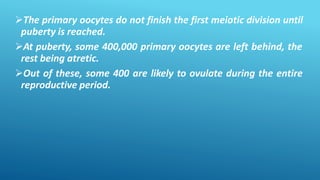 The primary oocytes do not finish the first meiotic division until
puberty is reached.
At puberty, some 400,000 primary oocytes are left behind, the
rest being atretic.
Out of these, some 400 are likely to ovulate during the entire
reproductive period.
 