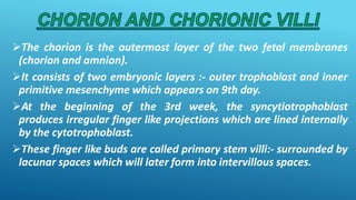 The chorion is the outermost layer of the two fetal membranes
(chorion and amnion).
It consists of two embryonic layers :- outer trophoblast and inner
primitive mesenchyme which appears on 9th day.
At the beginning of the 3rd week, the syncytiotrophoblast
produces irregular finger like projections which are lined internally
by the cytotrophoblast.
These finger like buds are called primary stem villi:- surrounded by
lacunar spaces which will later form into intervillous spaces.
 