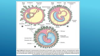 fundamentalsofreproduction-201128104826.pptx