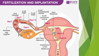 Procreation Explained fundamentals of reproduction-201128104826 (1).pptx