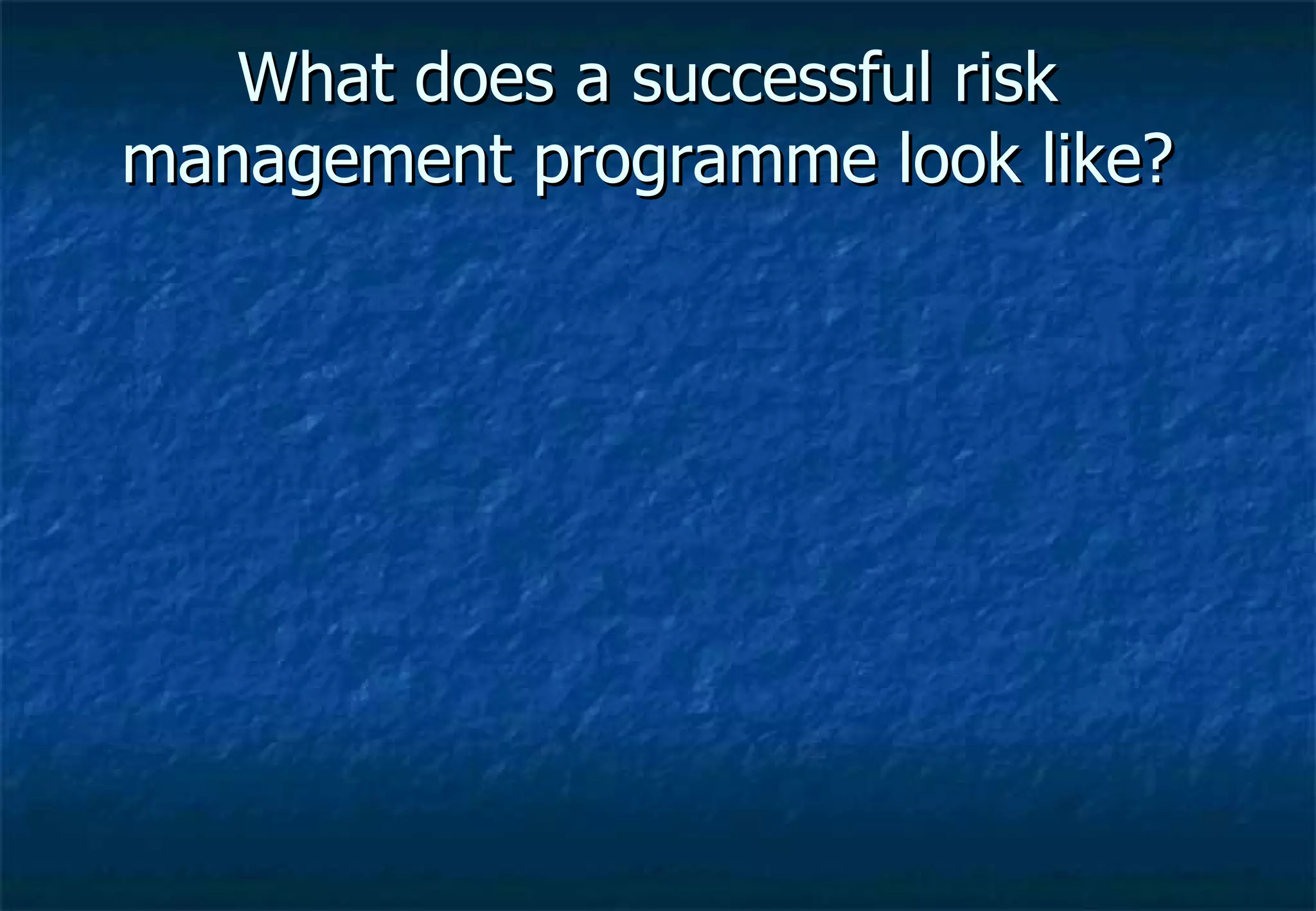 What does a successful risk management programme look like? 