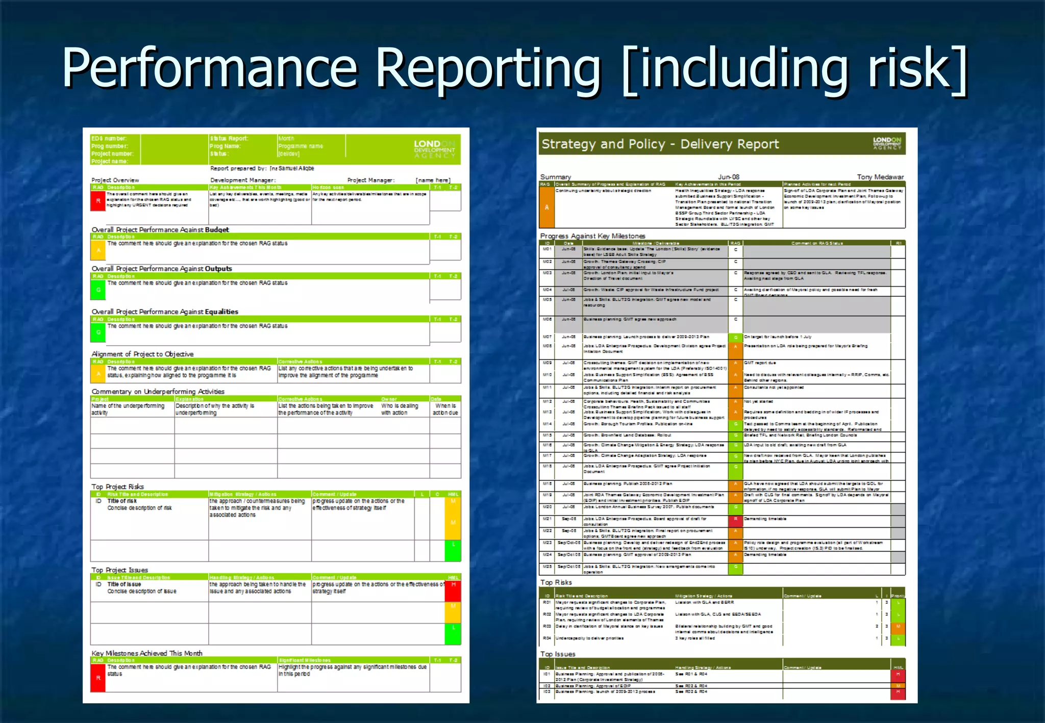 Performance Reporting [including risk] 
