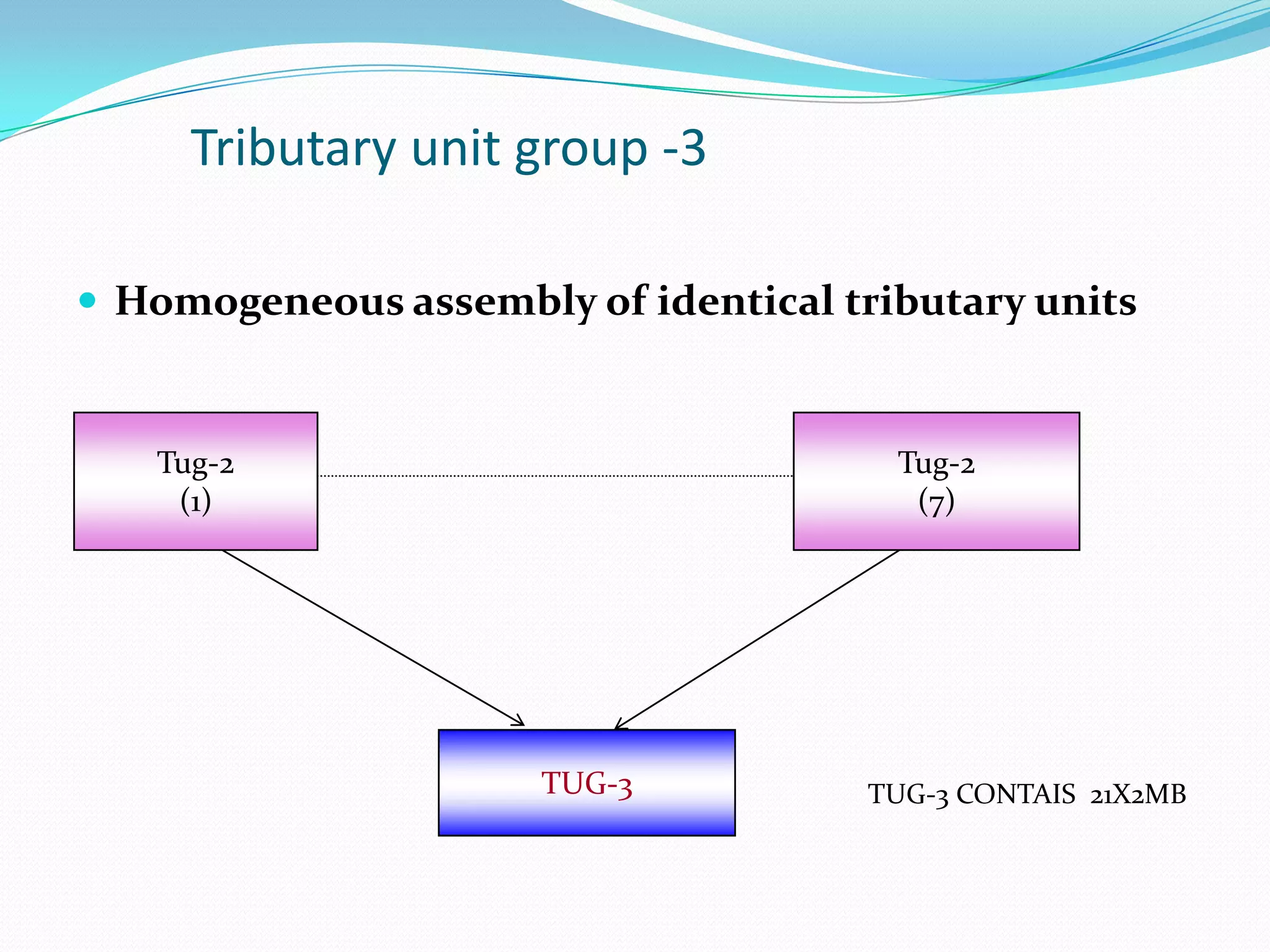 Tributary unit group -3
 Homogeneous assembly of identical tributary units
Tug-2
(1)
Tug-2
(7)
TUG-3 TUG-3 CONTAIS 21X2MB
 