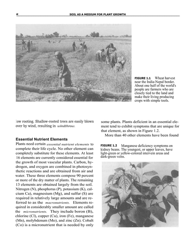 Fundamentals of soil science pdf