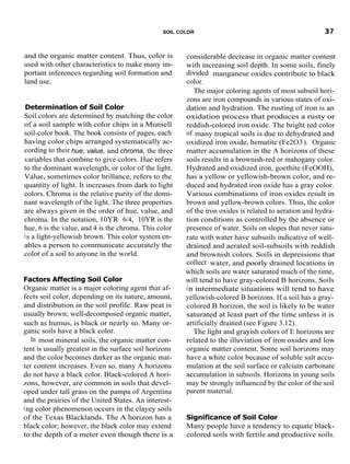 Fundamentals of Soil Science | PDF