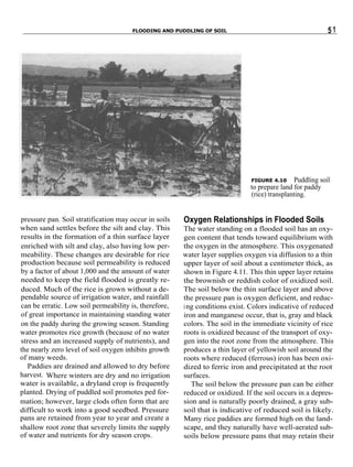 Fundamentals of Soil Science | PDF