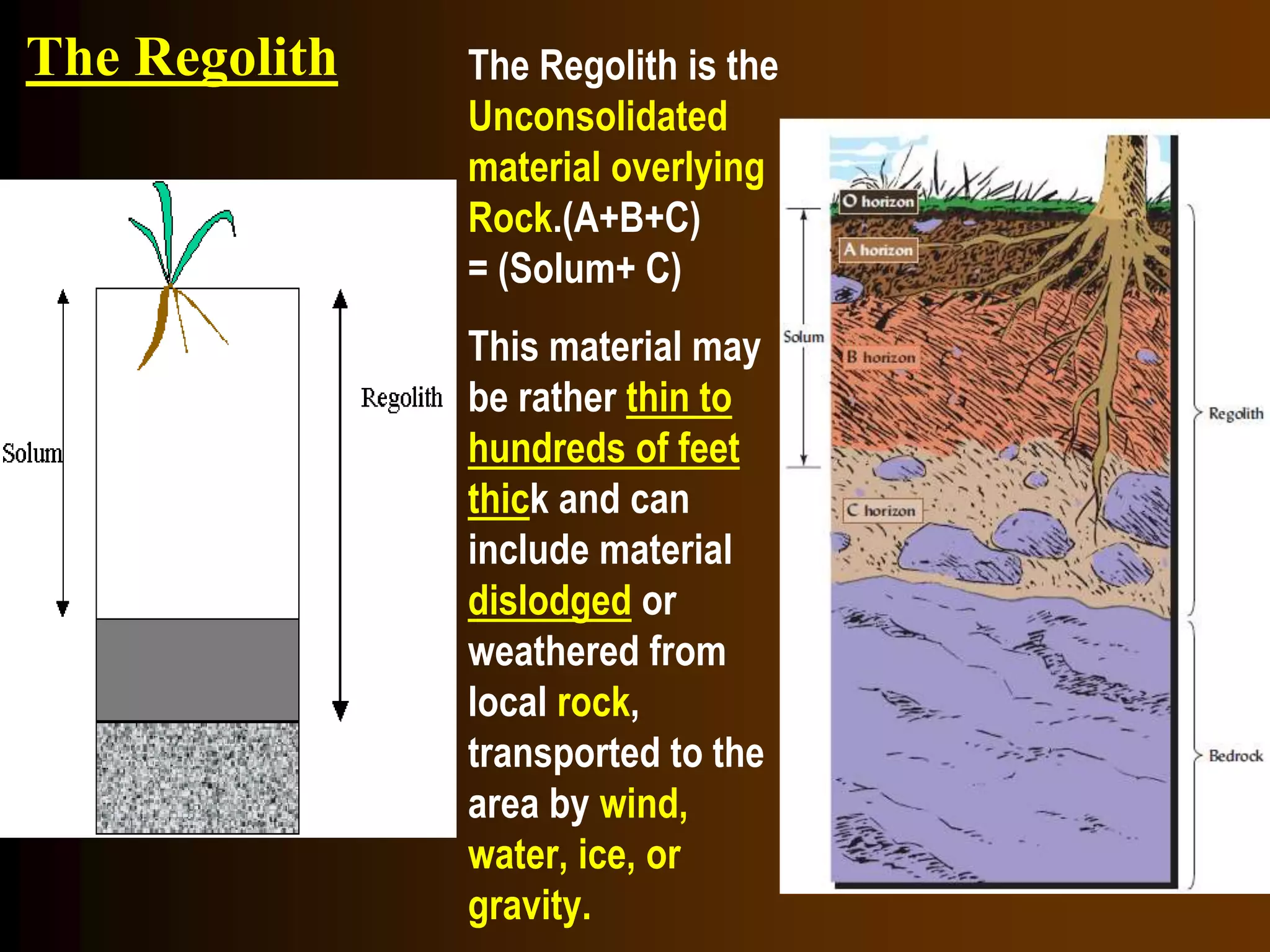 The Regolith The Regolith is the
Unconsolidated
material overlying
Rock.(A+B+C)
= (Solum+ C)
This material may
be rather thin to
hundreds of feet
thick and can
include material
dislodged or
weathered from
local rock,
transported to the
area by wind,
water, ice, or
gravity.
 