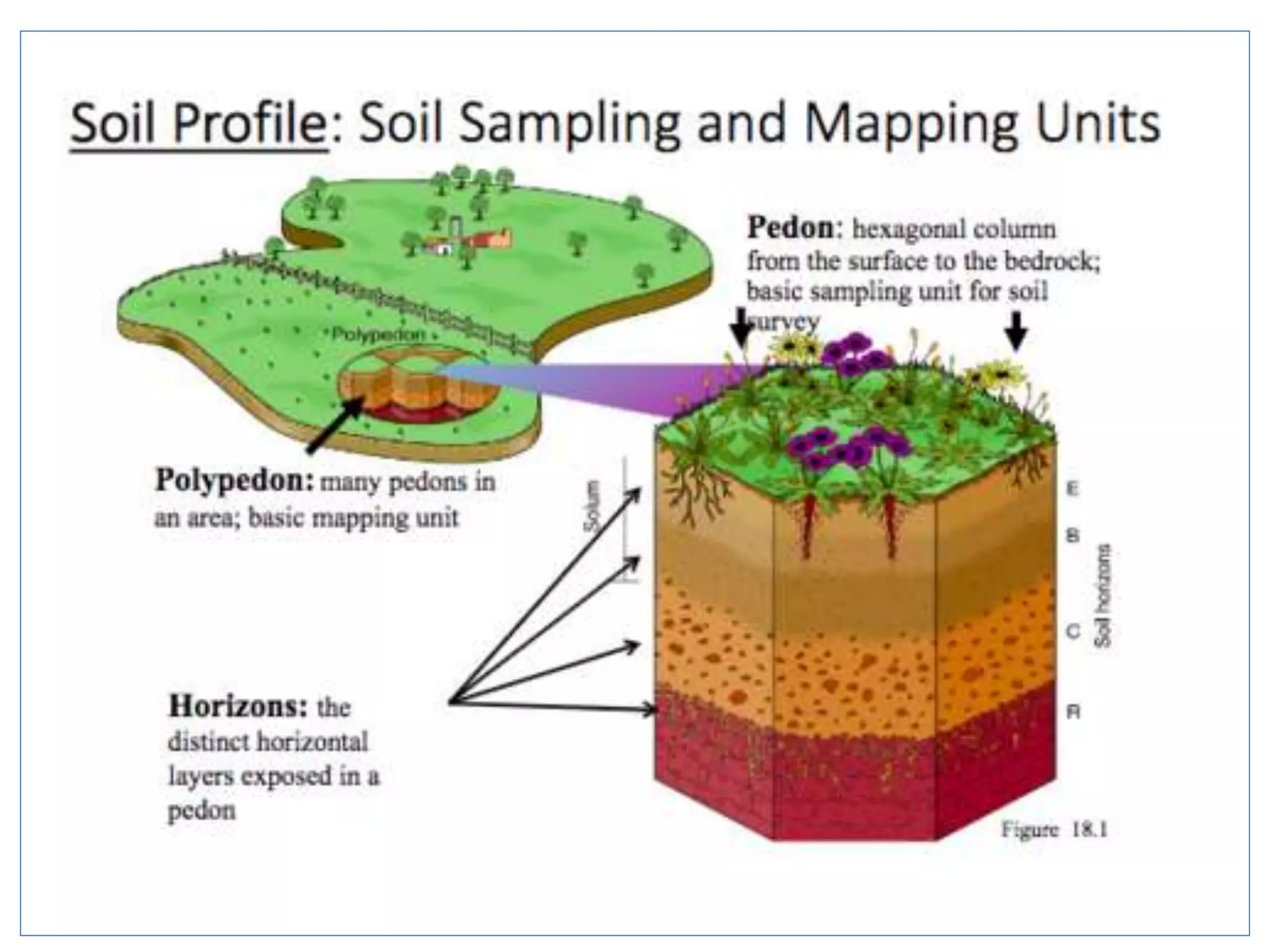 Fundamentals of soil science