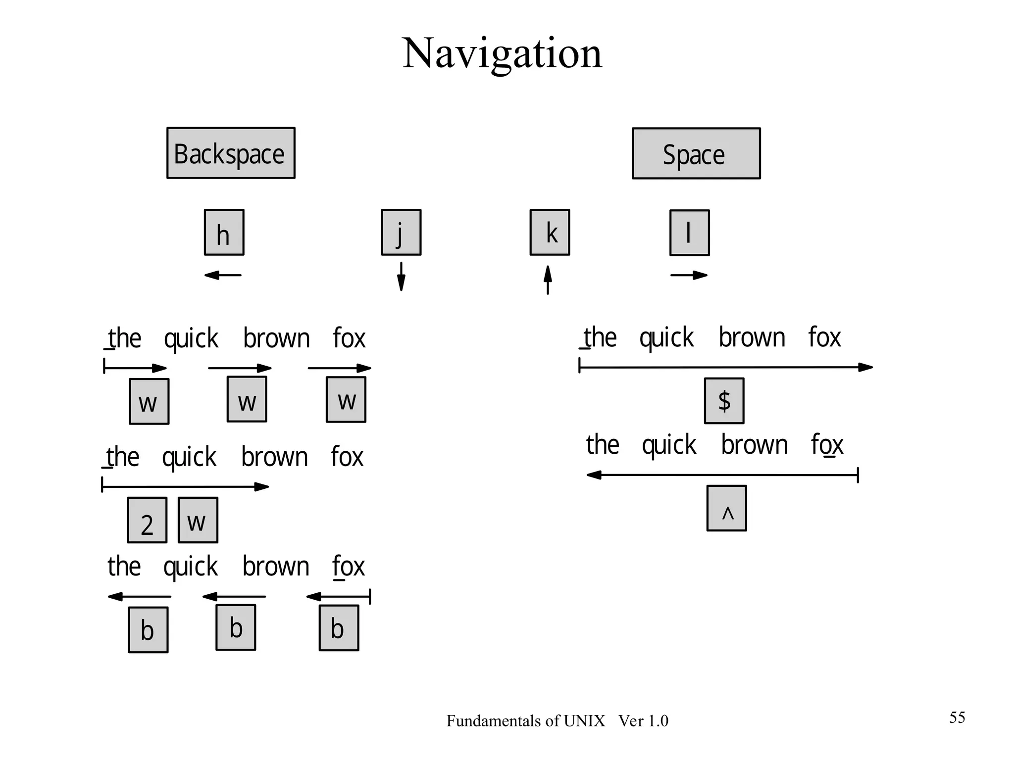 Fundamentals of UNIX Ver 1.0 55
Backspace
h
Space
l
j k
the quick brown fox
w
w w
the quick brown fox
2 w
the quick brown fox
b
b b
the quick brown fox
$
the quick brown fox
^
Navigation
 